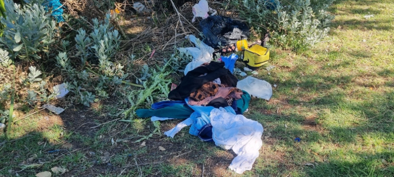 Cleanup image 2